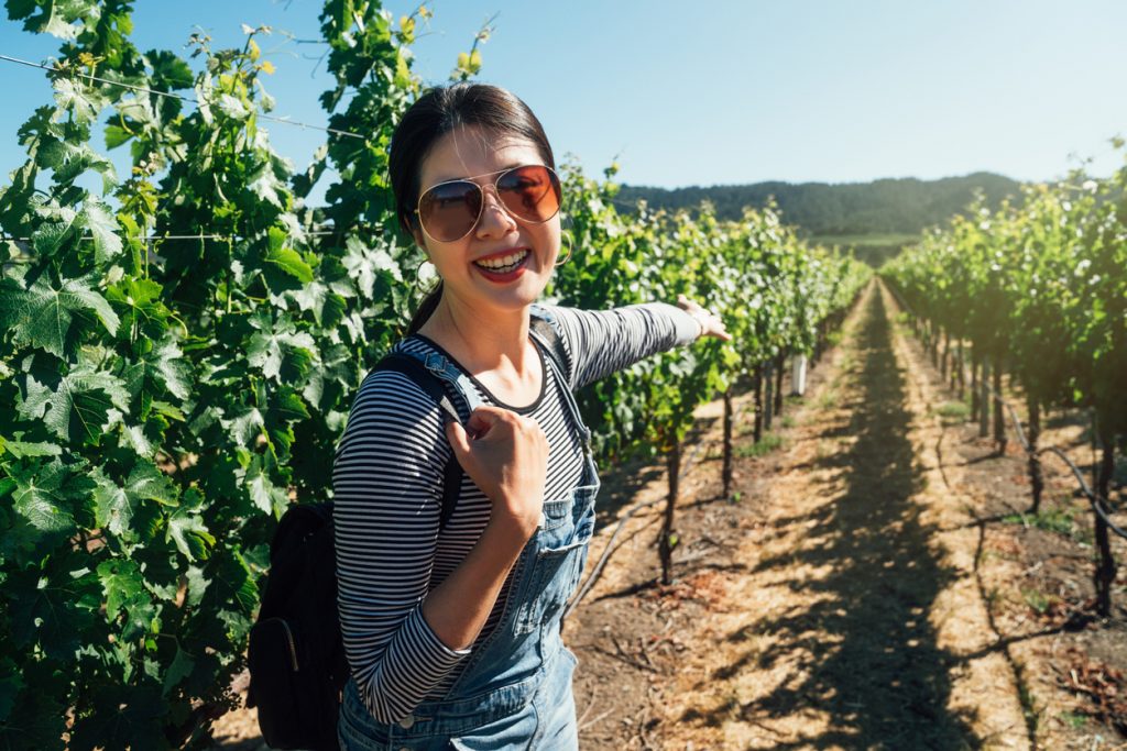 Vineyard tour