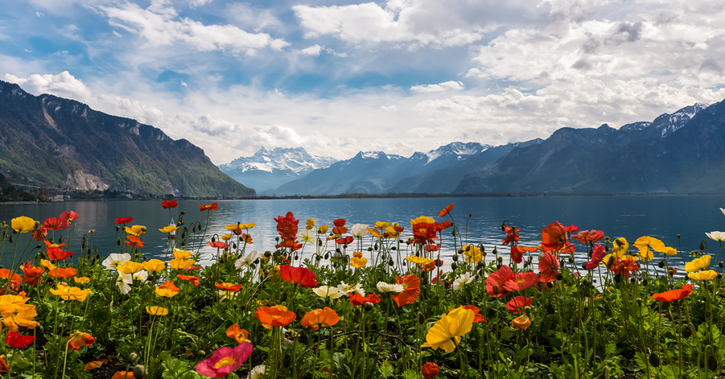 The sharpness of the foreground of the flowers and the background means a smaller aperture was used.