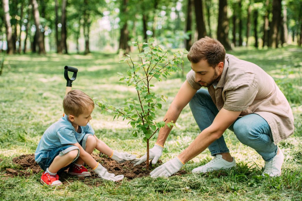 A father and son planting a tree | Motif