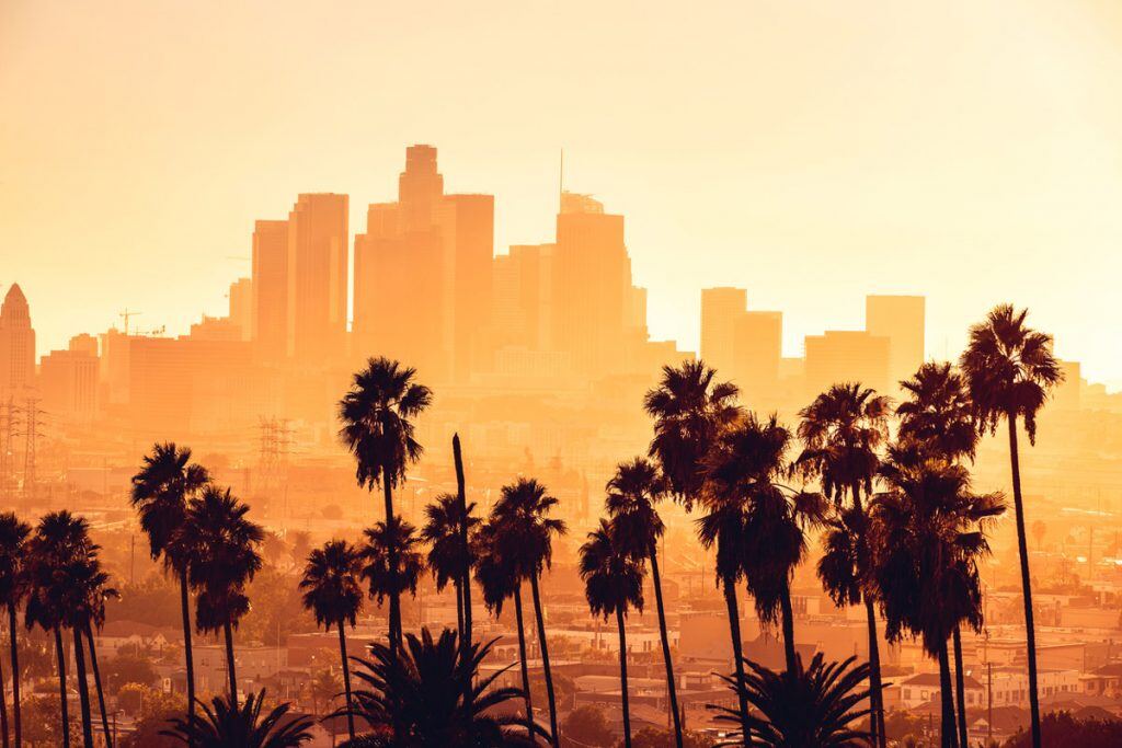 Los Angeles Cityscape at golden hour with palm trees in foreground