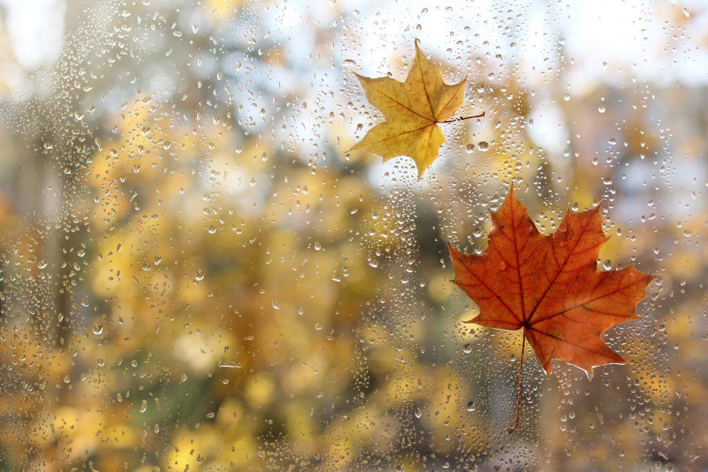 Raindrops on your window can make for great photography no matter what the season.