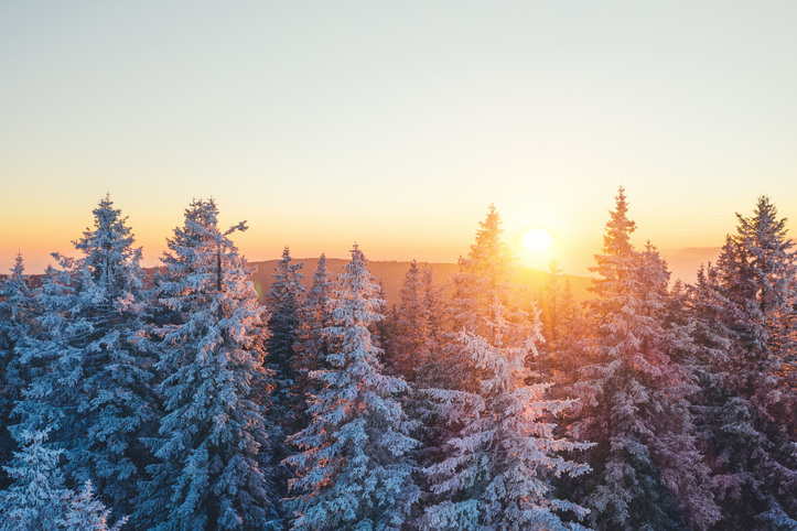 Stunning Christmas picture ideas include a forest full of snowcapped trees at sunset.