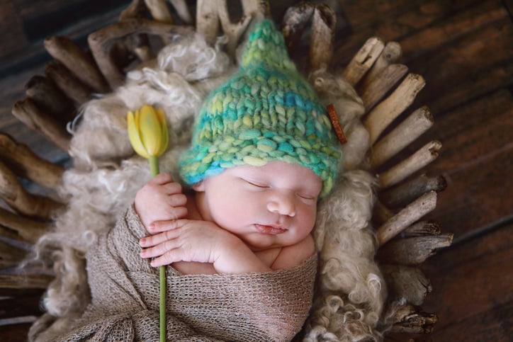 Creative newborn photography includes being swaddled in a basket. 