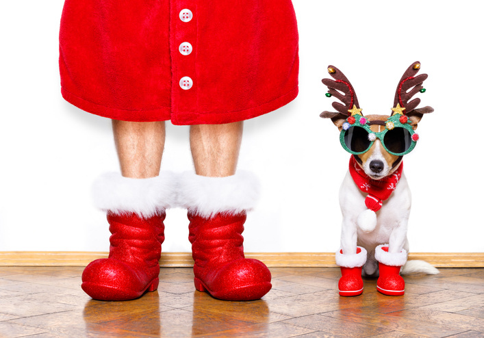 Take funny Christmas picture ideas like this man in Santa boots and robe with dog as a reindeer.