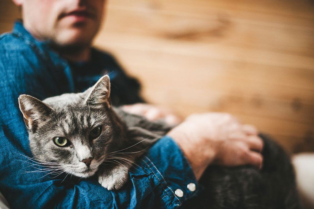 A portrait mode photo of a cat in their owner’s arms | Motif