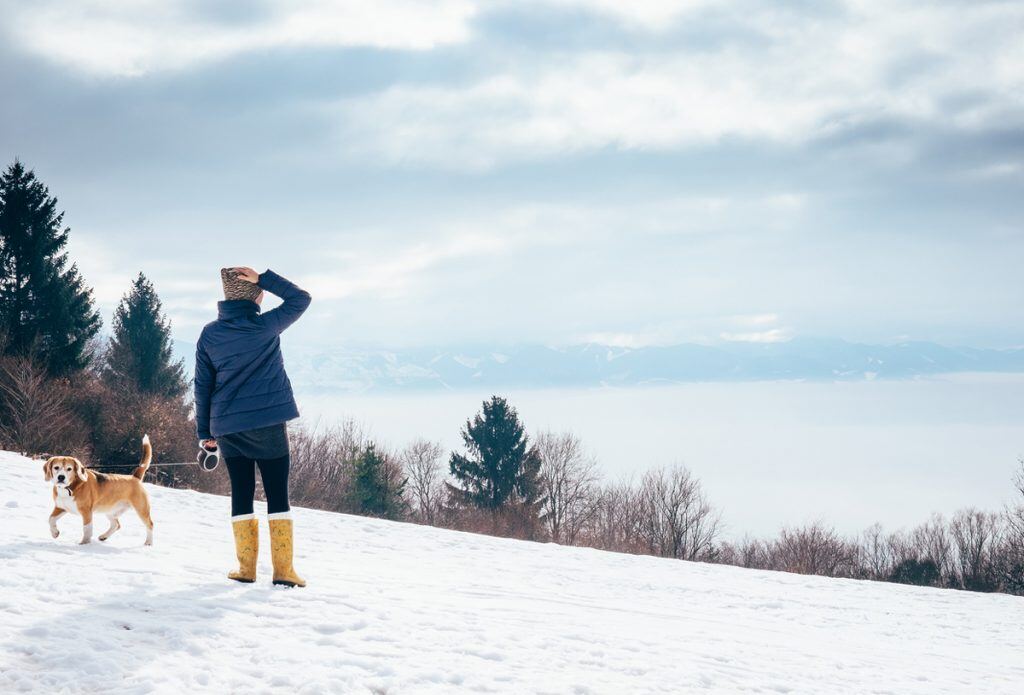 Cloudy Winter Lighting Creates a Contemplative Composition